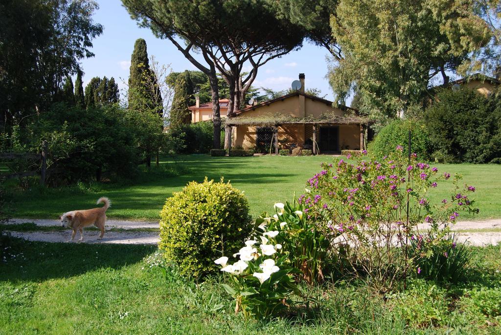 Casa Vacanze Vigna Di Valle Bracciano  Phòng bức ảnh