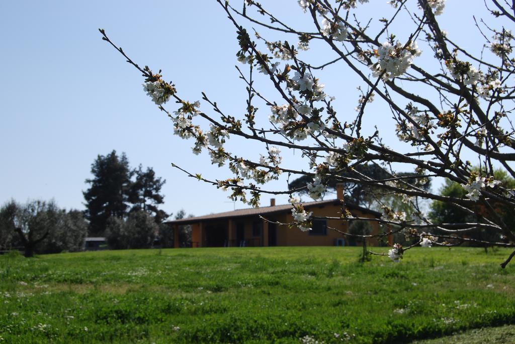 Casa Vacanze Vigna Di Valle Bracciano  Phòng bức ảnh