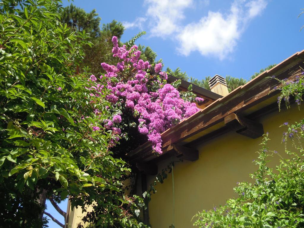 Casa Vacanze Vigna Di Valle Bracciano  Phòng bức ảnh
