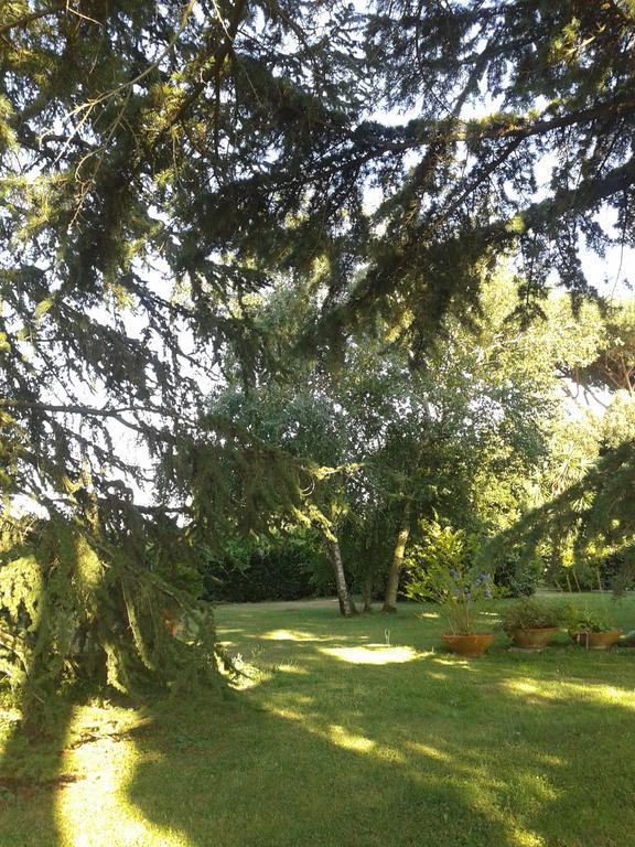 Casa Vacanze Vigna Di Valle Bracciano  Ngoại thất bức ảnh