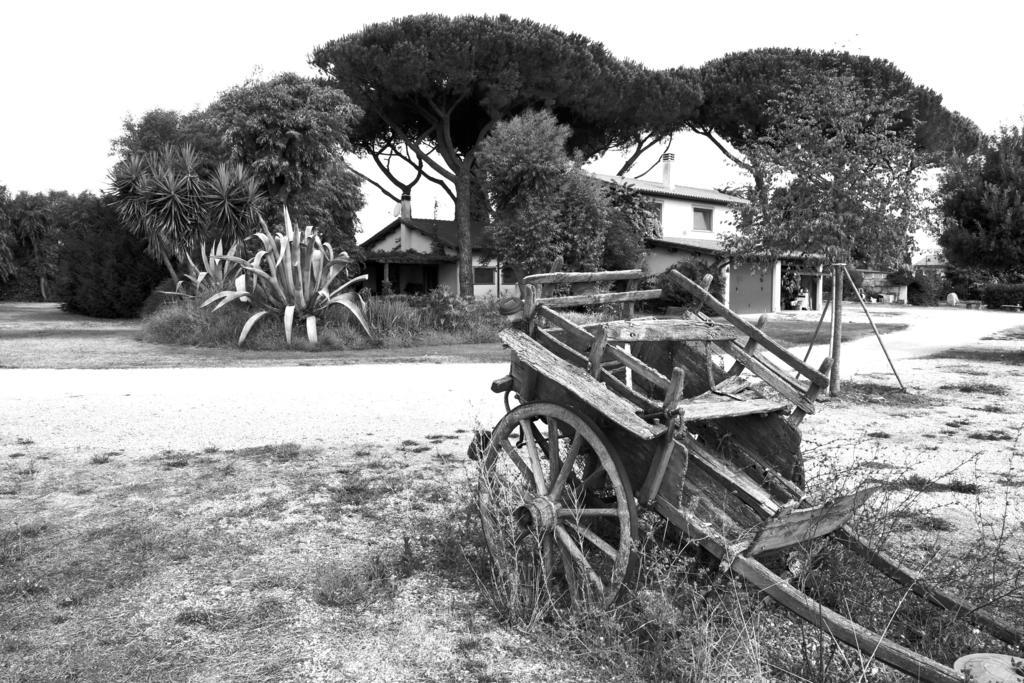 Casa Vacanze Vigna Di Valle Bracciano  Ngoại thất bức ảnh